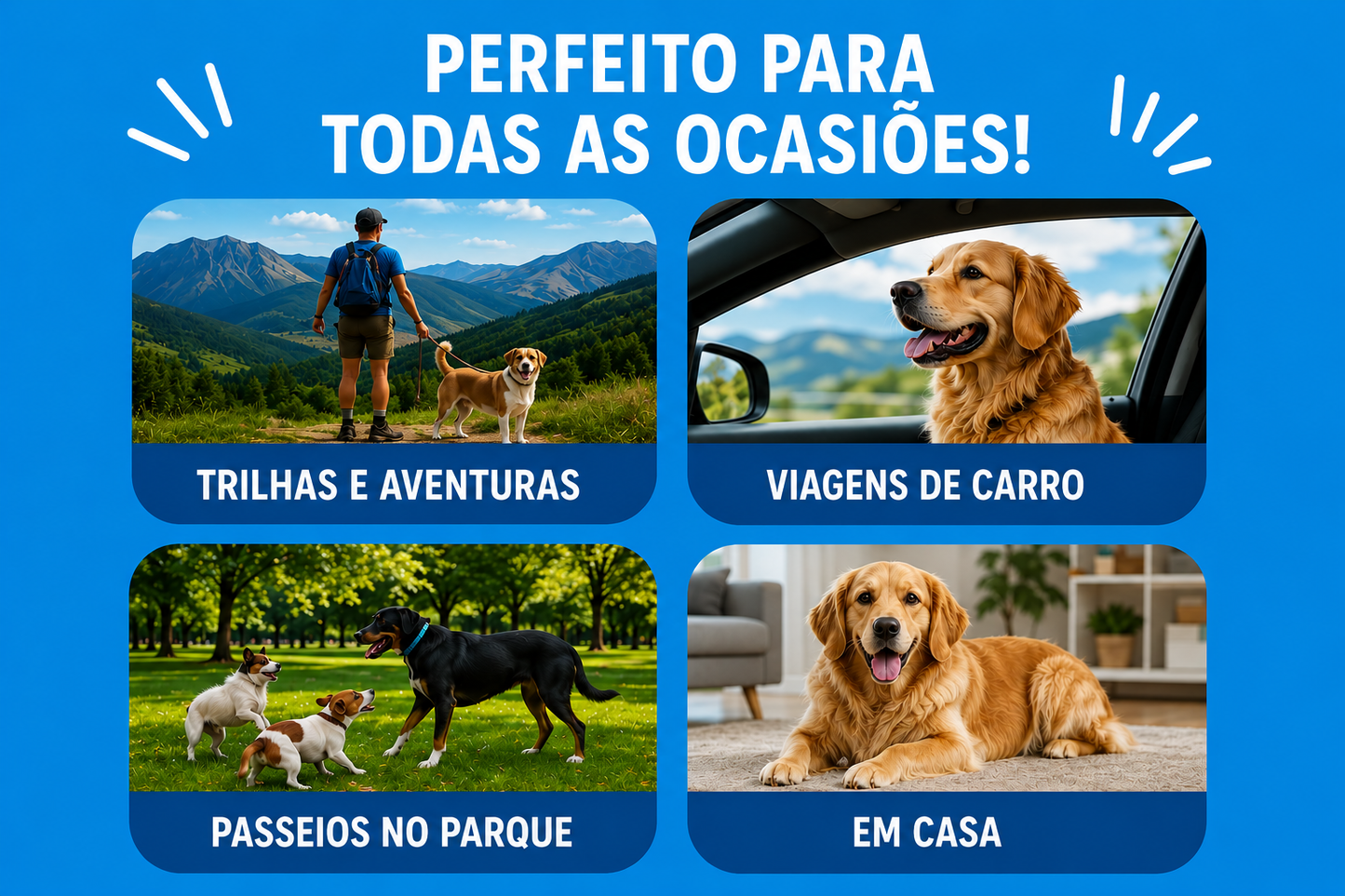 Comedouro e Bebedouro Retrátil Silicone Atóxico para Cães e Gatos