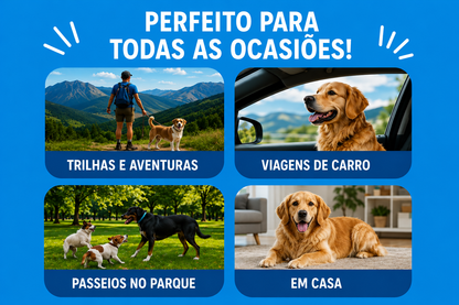 Comedouro e Bebedouro Retrátil Silicone Atóxico para Cães e Gatos
