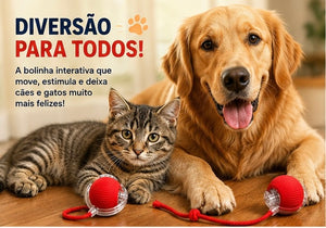 Bolinha Inteligente Interativa | Brinquedo Automático Recarregável USB Anti Tédio