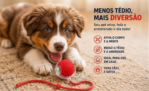 Bolinha Inteligente Interativa | Brinquedo Automático Recarregável USB Anti Tédio