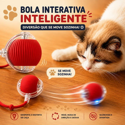 Bolinha Inteligente Interativa para Gatos com Cauda | Brinquedo Automático Recarregável USB Anti Tédio