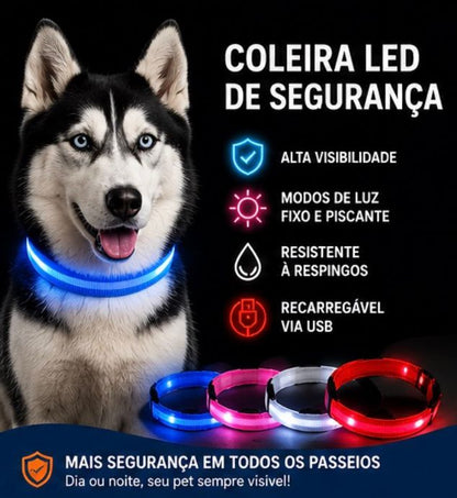 Coleira LED Brilhante para Cães e Gatos | Ajustável Recarregável com Luz de Segurança para Passeios Noturnos