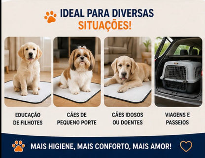 Kit 5 Tapetes Higiênicos Laváveis para Cães | Super Absorvente, Reutilizável e Antivazamento